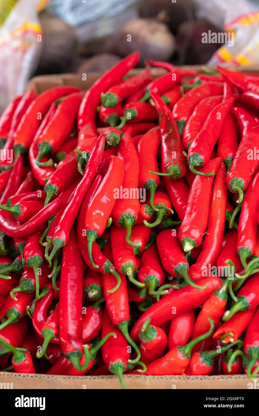 Nahaufnahme von rotem Chili auf dem Markt. Vertikales Foto Stockfoto