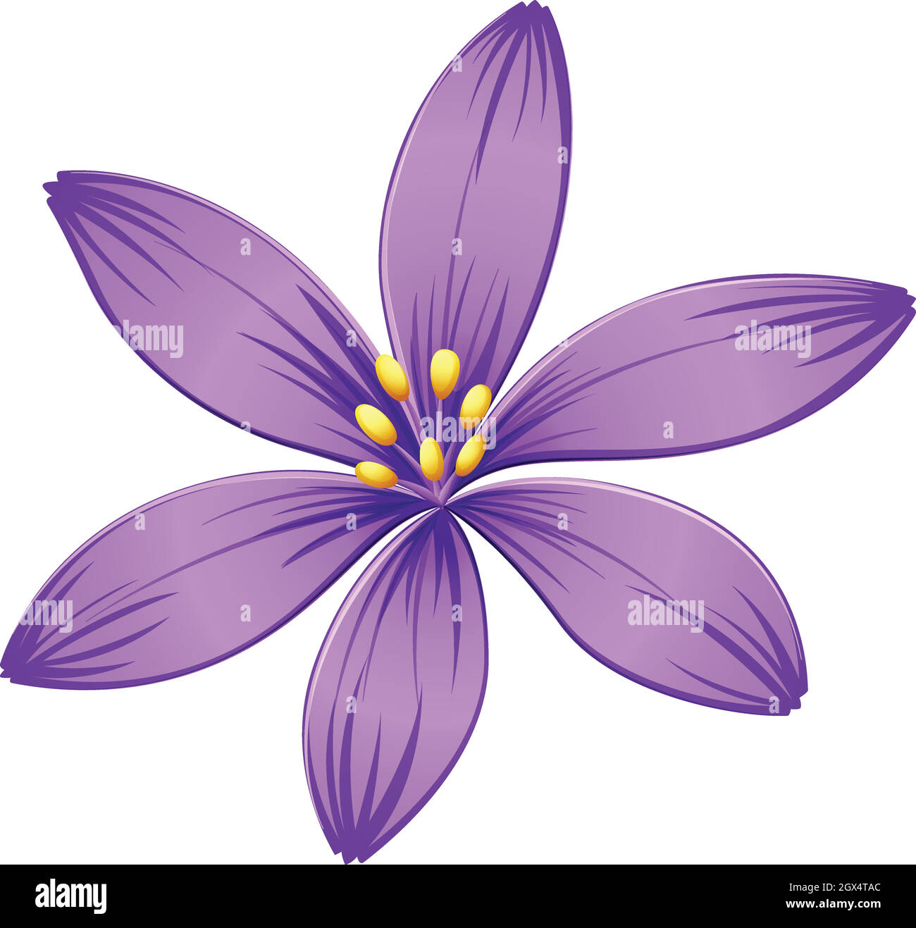 Eine violette Blume mit fünf Blüten Stock Vektor