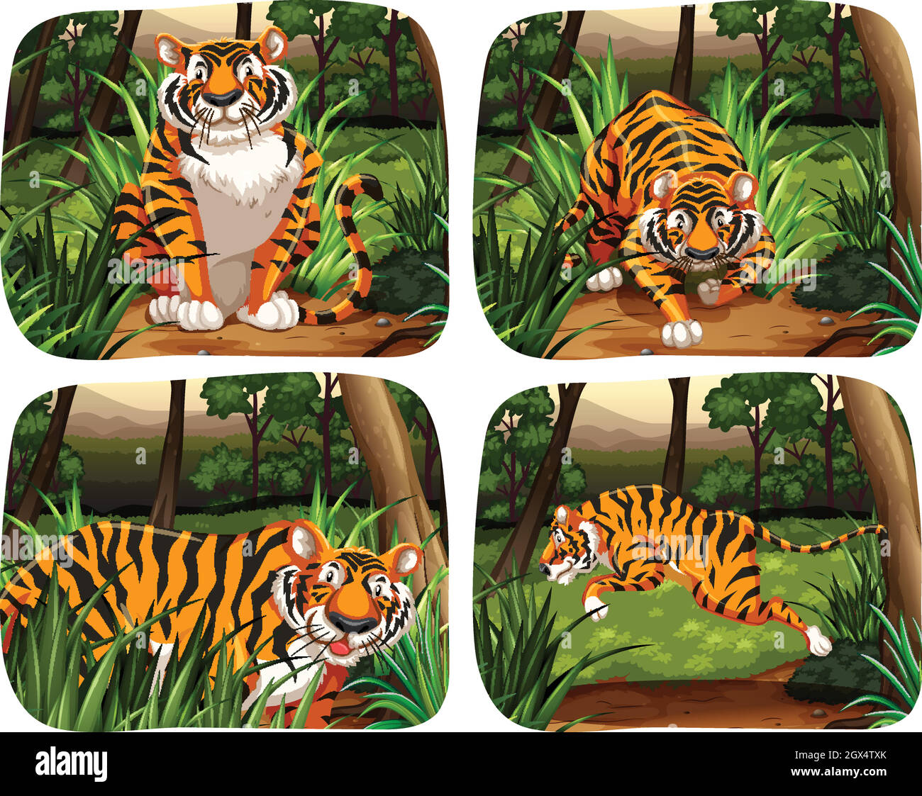 Tiger, der im Dschungel lebt Stock Vektor