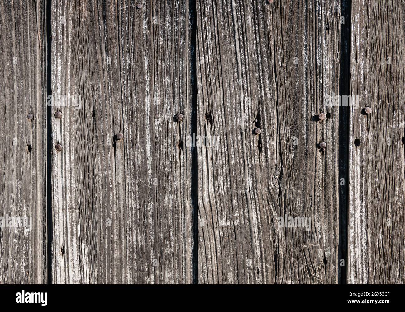 Alte Holzstruktur Hintergrund mit verrosteten Nägeln. Detail der rustikalen Tür. Stockfoto