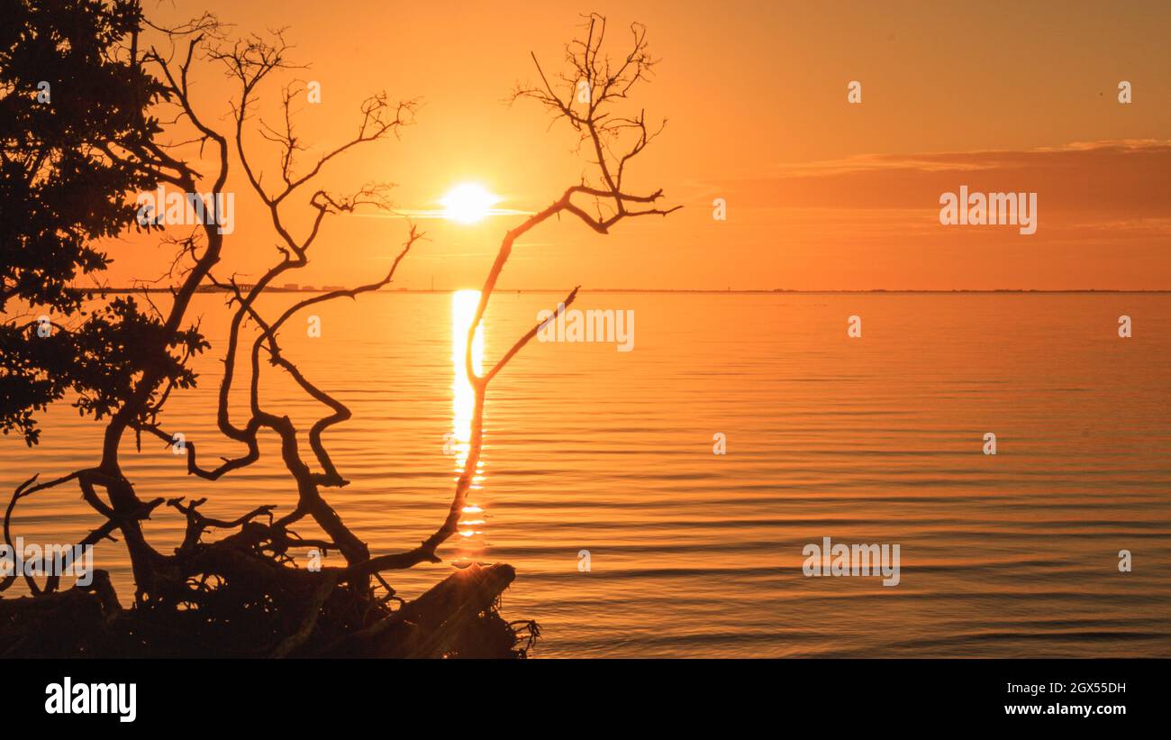 Goldener Sonnenuntergang an Thanksgiving über der Tampa Bay Stockfoto