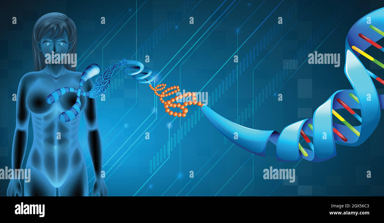 Desoxyribonukleinsäure Stock Vektor