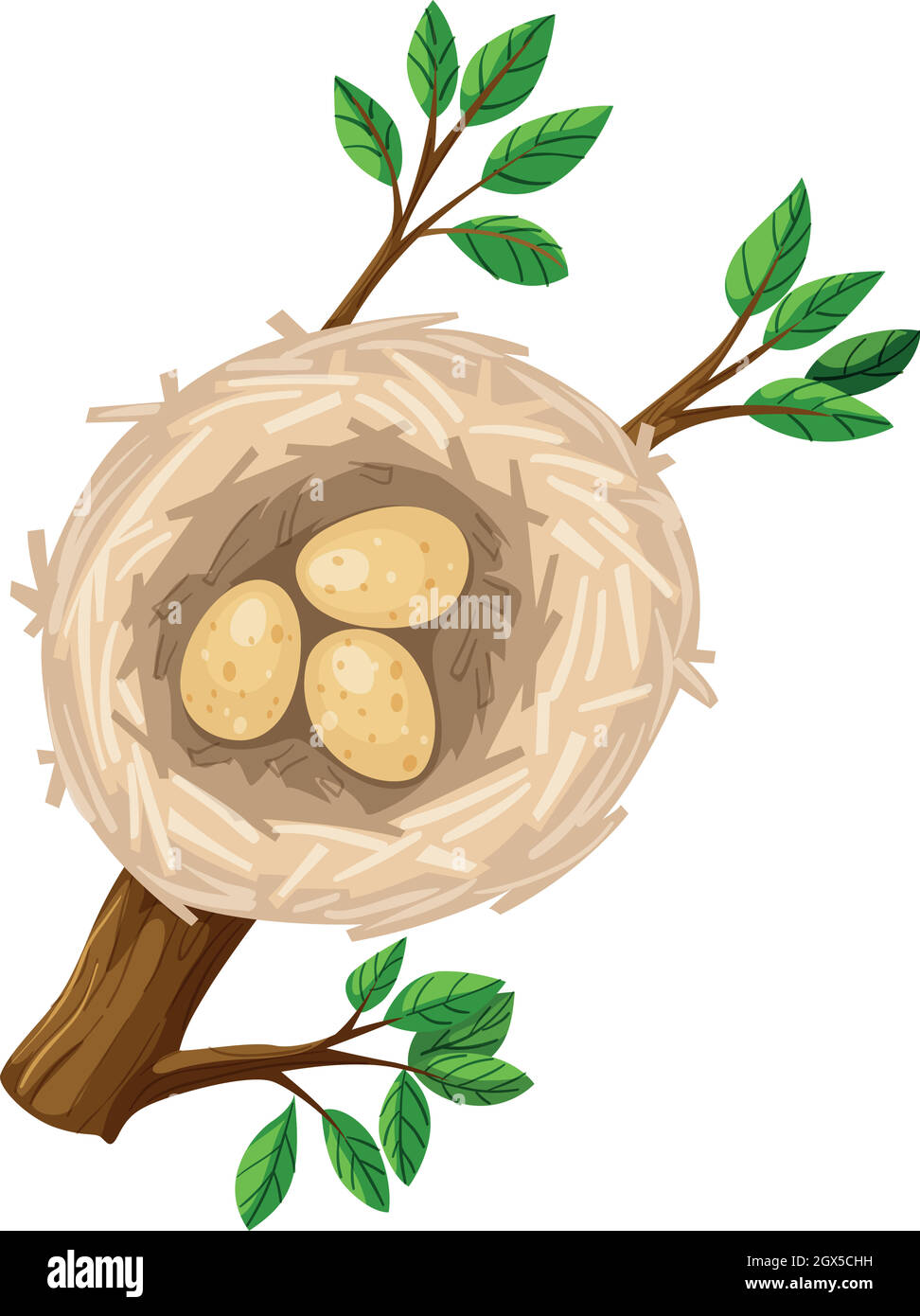 Drei Eier im Vogelnest Stock Vektor