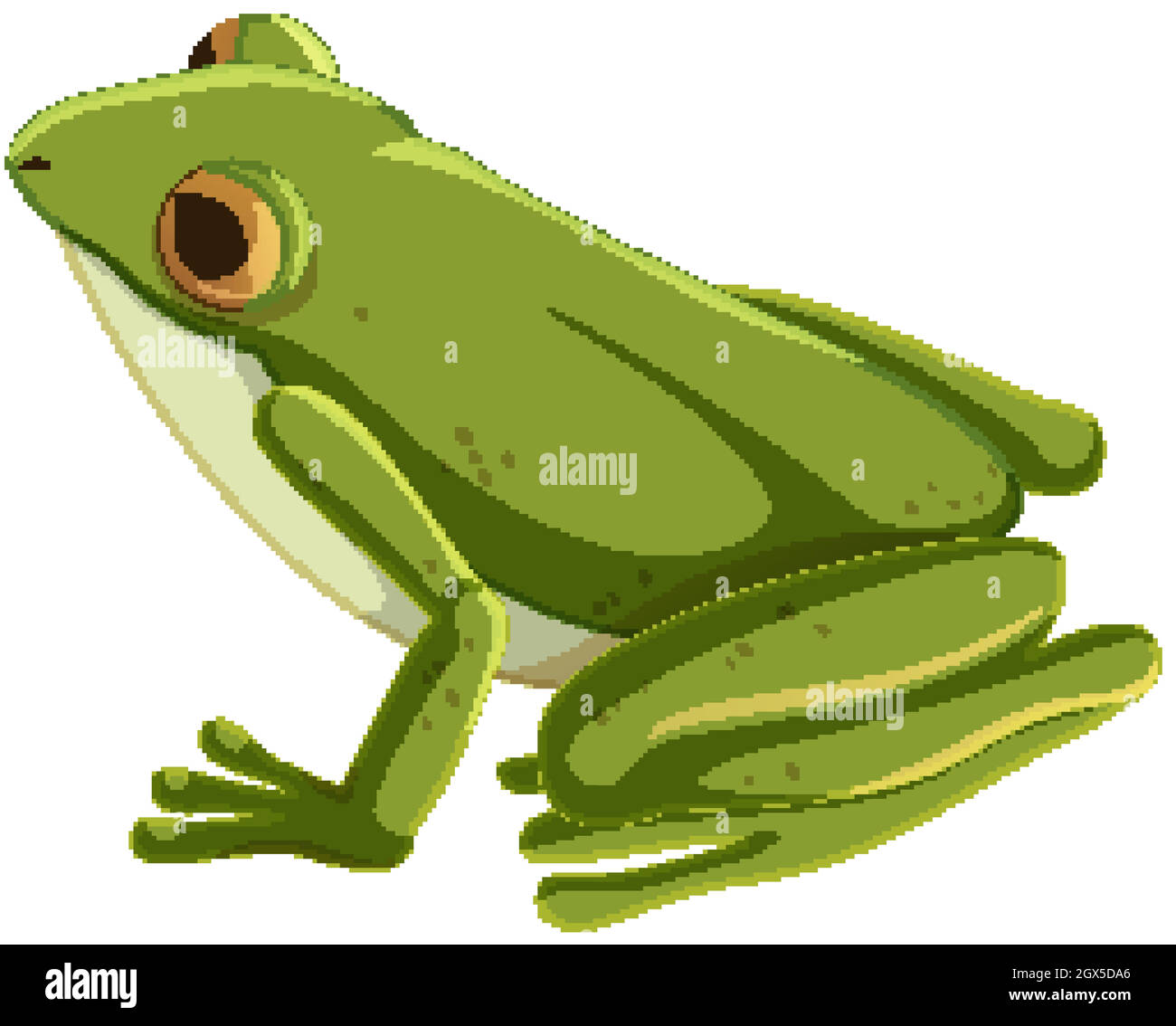 Grüner Frosch Zeichentrickfigur isoliert Stock Vektor