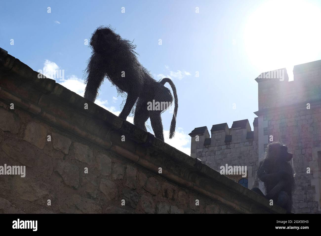 Paviane mit Drahtskulpturen am Tower von london, england Stockfoto Paviane mit Drahtskulpturen am Tower von london, england Stockfoto