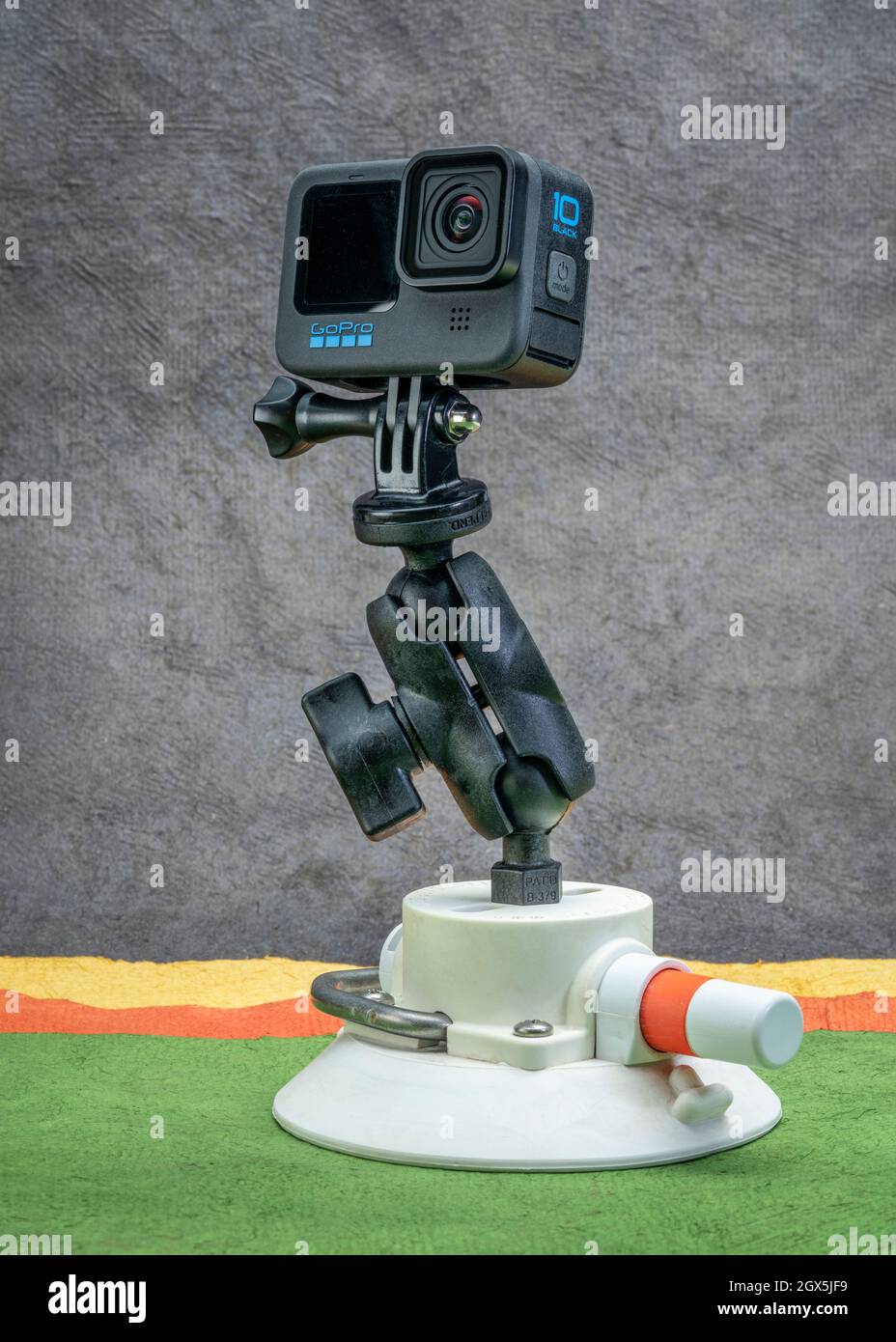 Fort Collins, CO, USA - 3. Oktober 2021: GoPro Hero 10 schwarze,  wasserdichte Action-Kamera auf einer beliebten knickgelenkten RAM-Halterung  und Saugnapf von SeaSucker Stockfotografie - Alamy