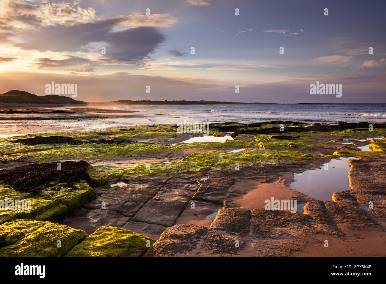 Sonnenuntergang Embleton Bay mit Algen bedeckten Felsen am Vorland Embleton Bay Northumberland Coast England GB UK Europa Stockfoto