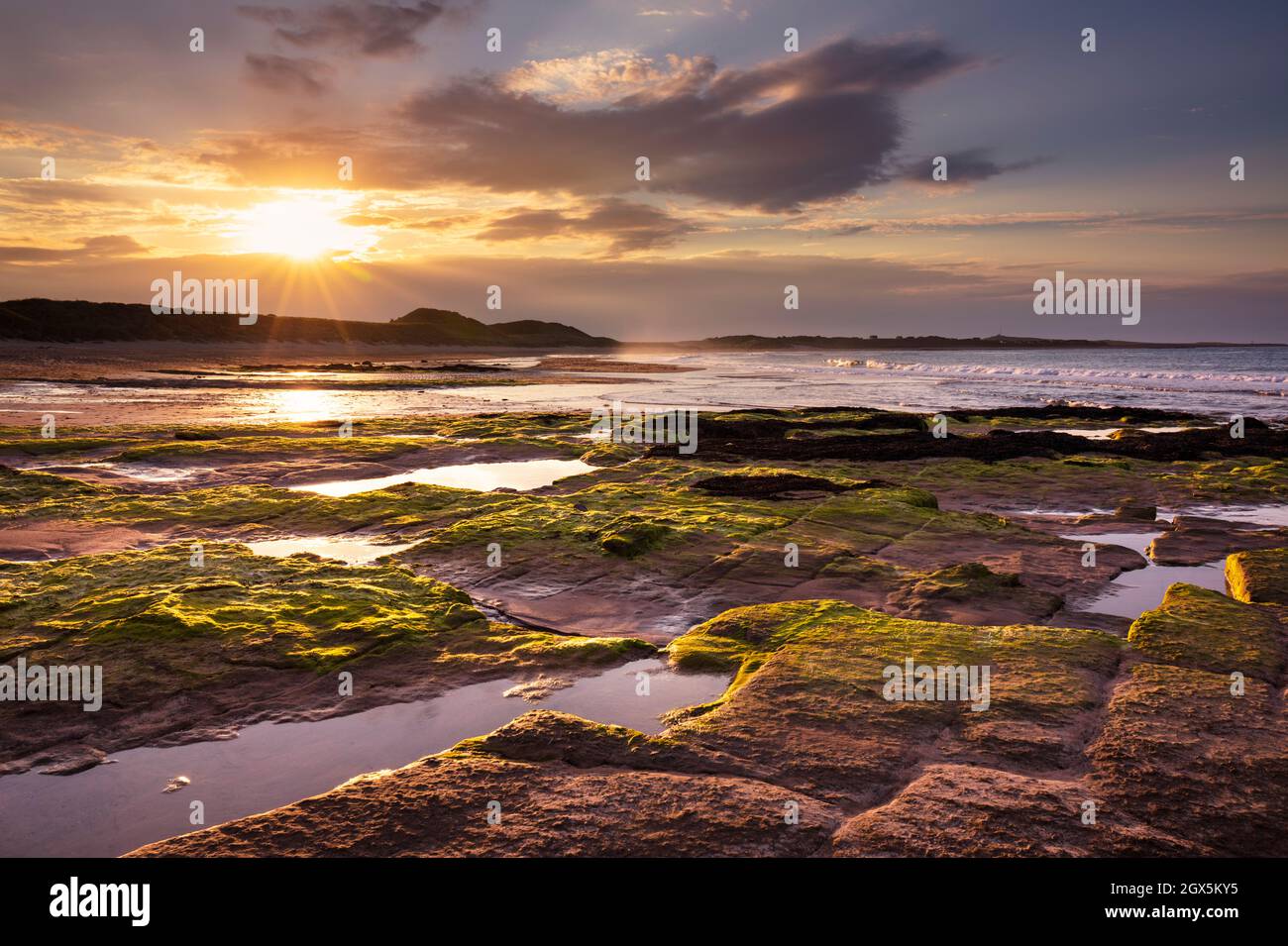 Sonnenuntergang Embleton Bay mit Algen bedeckten Felsen am Vorland Embleton Bay Northumberland Coast England GB UK Europa Stockfoto