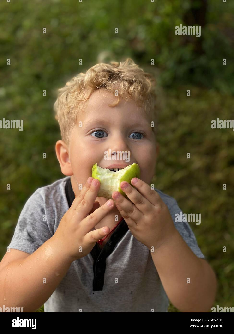 Junge in einem grauen T-Shirt frisst einen grünen Apfel im Garten Stockfoto