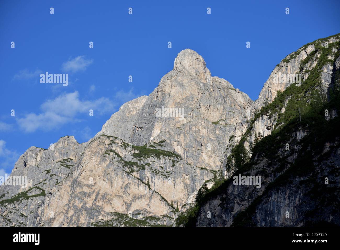 Teil des Monte Sasso del Signore mit der felsigen Spitze, die seine Hänge charakterisiert Stockfoto