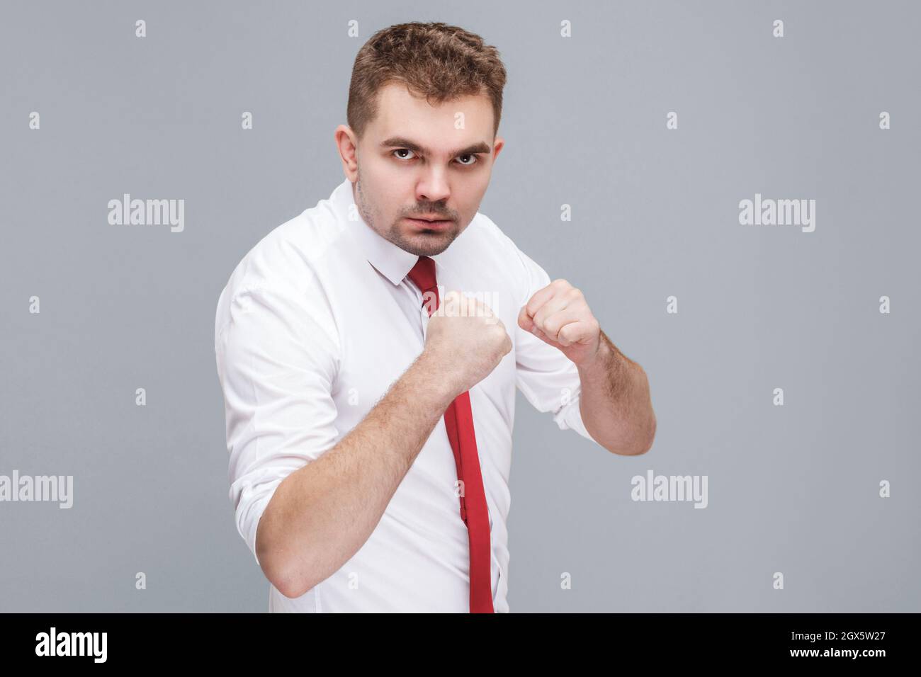 Porträt eines jungen, hübschen, ernsthaften Mannes in weißem Hemd und Krawatte, der in Boxfäusten steht und die Kamera ansieht und angriffbereit ist. Indoor isoliert auf grauem Hintergrund. Stockfoto