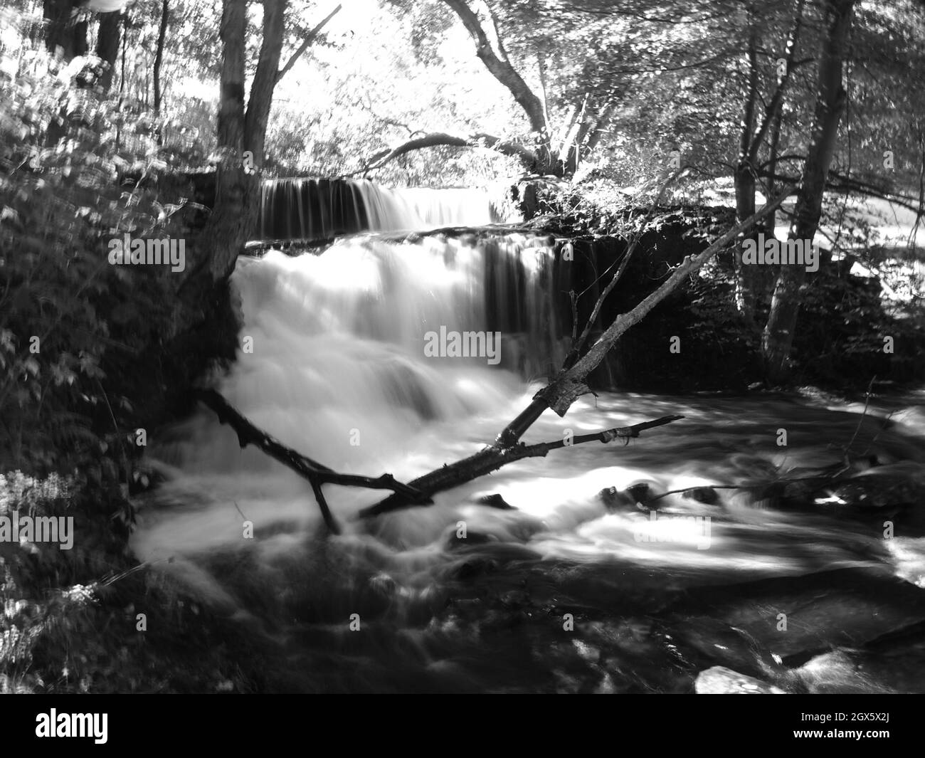 Shohola Falls im Osten, Pennsylvania gesehen Kaskadierung durch Felsen und Wald. Stockfoto