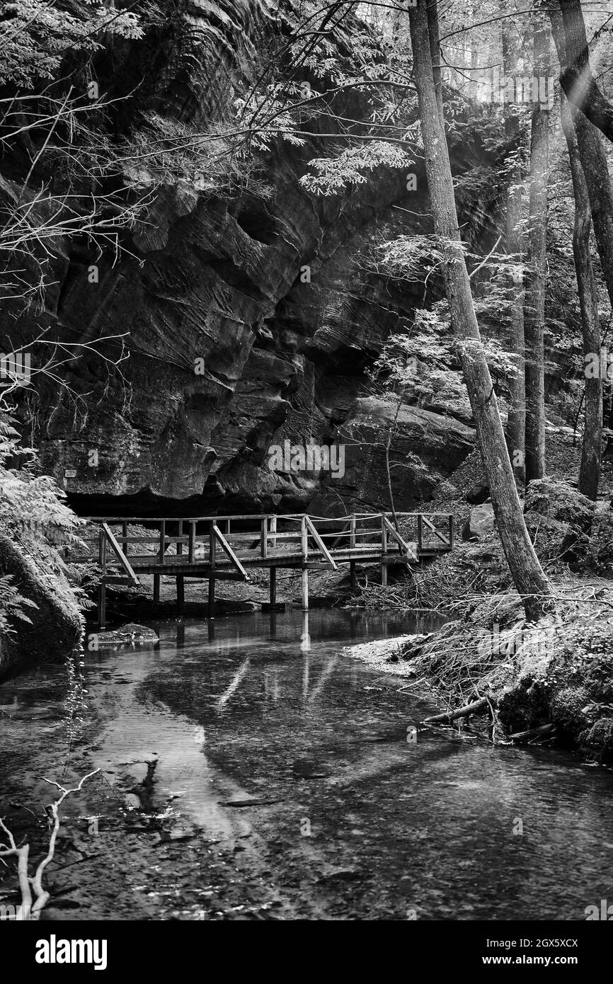 Der Dismals Canyon in Alabama ist ein großartiger Ort zum Wandern und Entspannen. Stockfoto