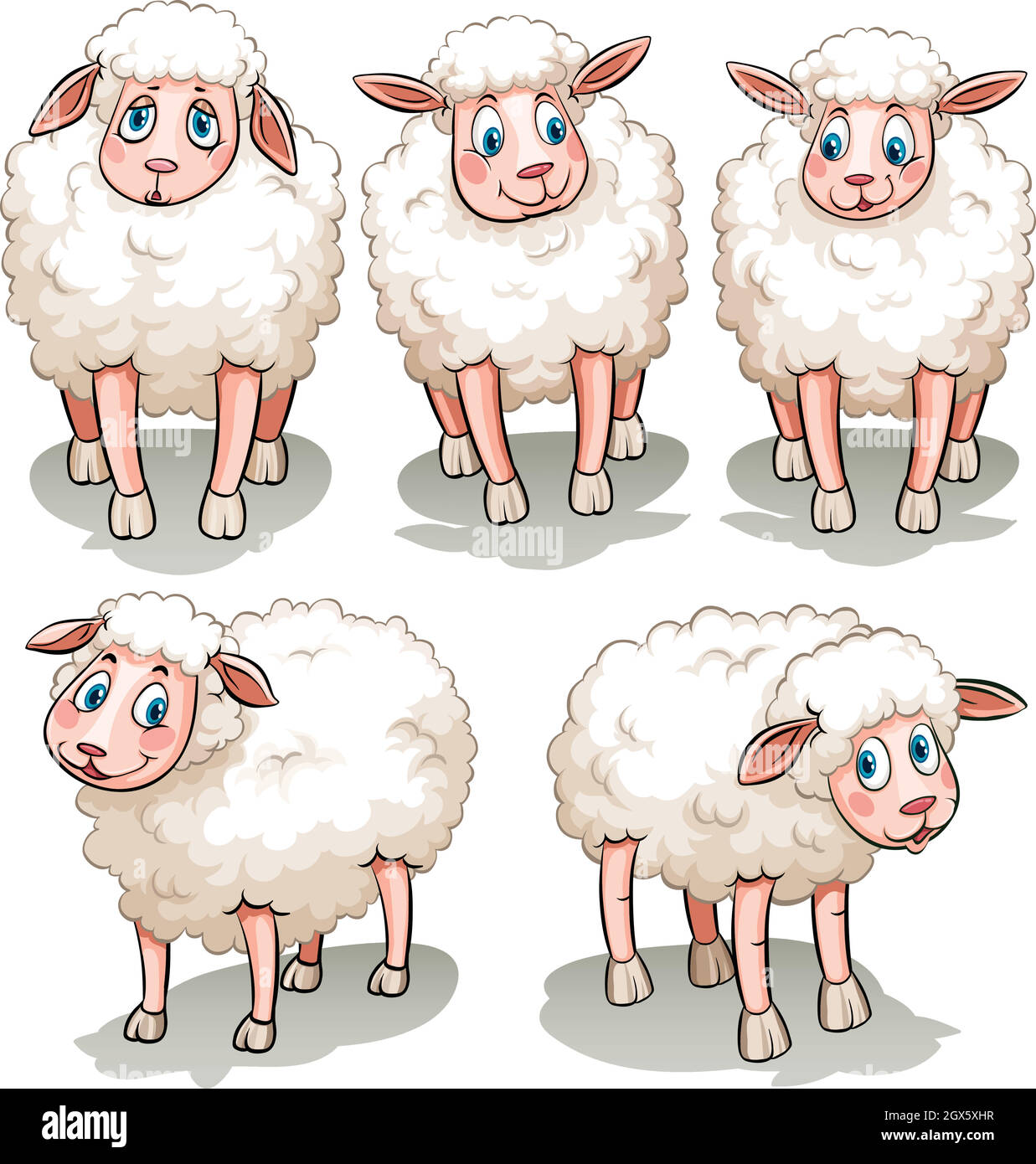 Fünf weiße Schafe Stock Vektor