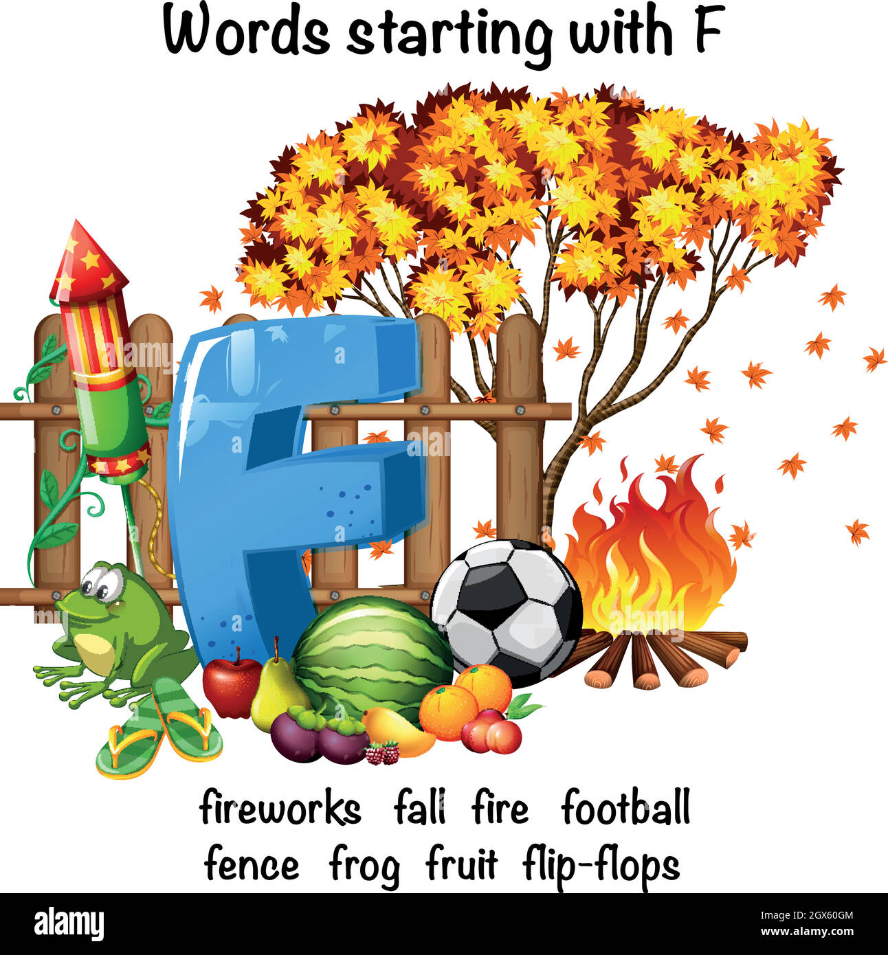 Pädagogisches Poster-Design für Wörter, die mit F beginnen Stock Vektor
