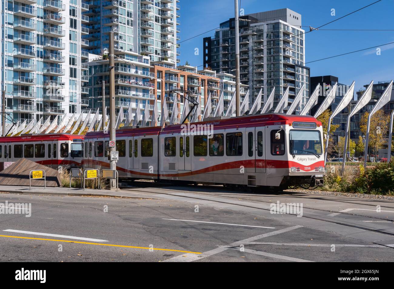 Calgary, Alberta, Kanada - 27. September 2021: Straßenbahn Calgary Transit in der Innenstadt von Calgary Stockfoto
