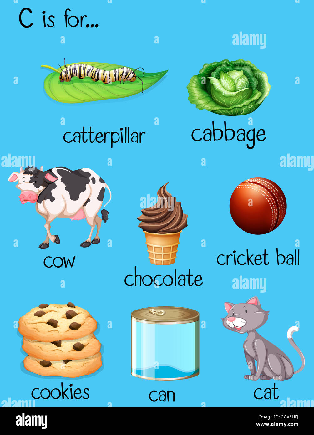 Verschiedene Wörter für den Buchstaben C Stock Vektor