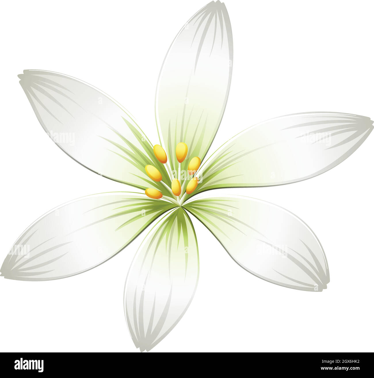 Eine frische weiße Blume Stock Vektor