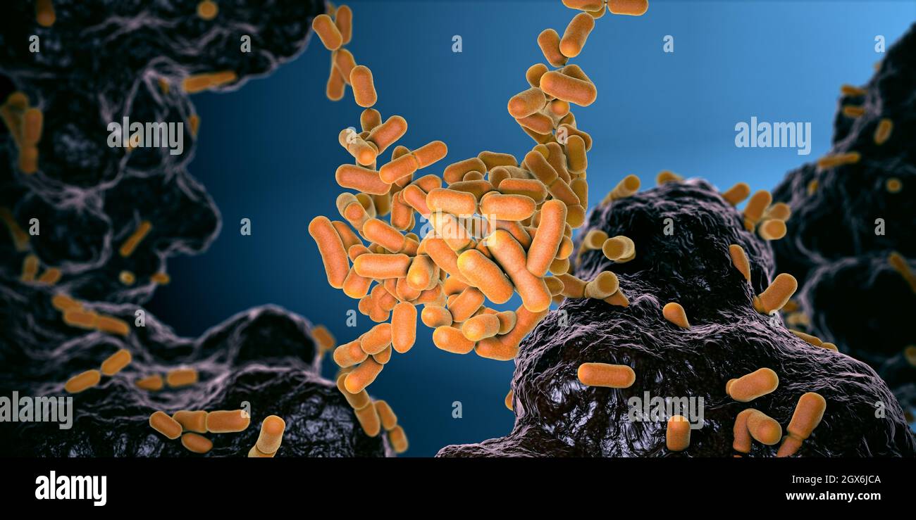 Gelb gefärbte stabförmige Escherichia coli-Bakterien im Darm und im Kot - 3d-Illustration Stockfoto