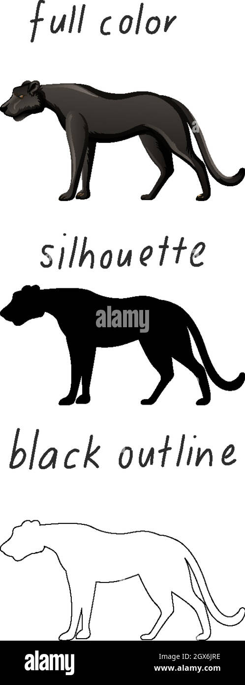Set aus schwarzem Panther in Farbe, Silhouette und schwarzem Umriss auf weißem Hintergrund Stock Vektor