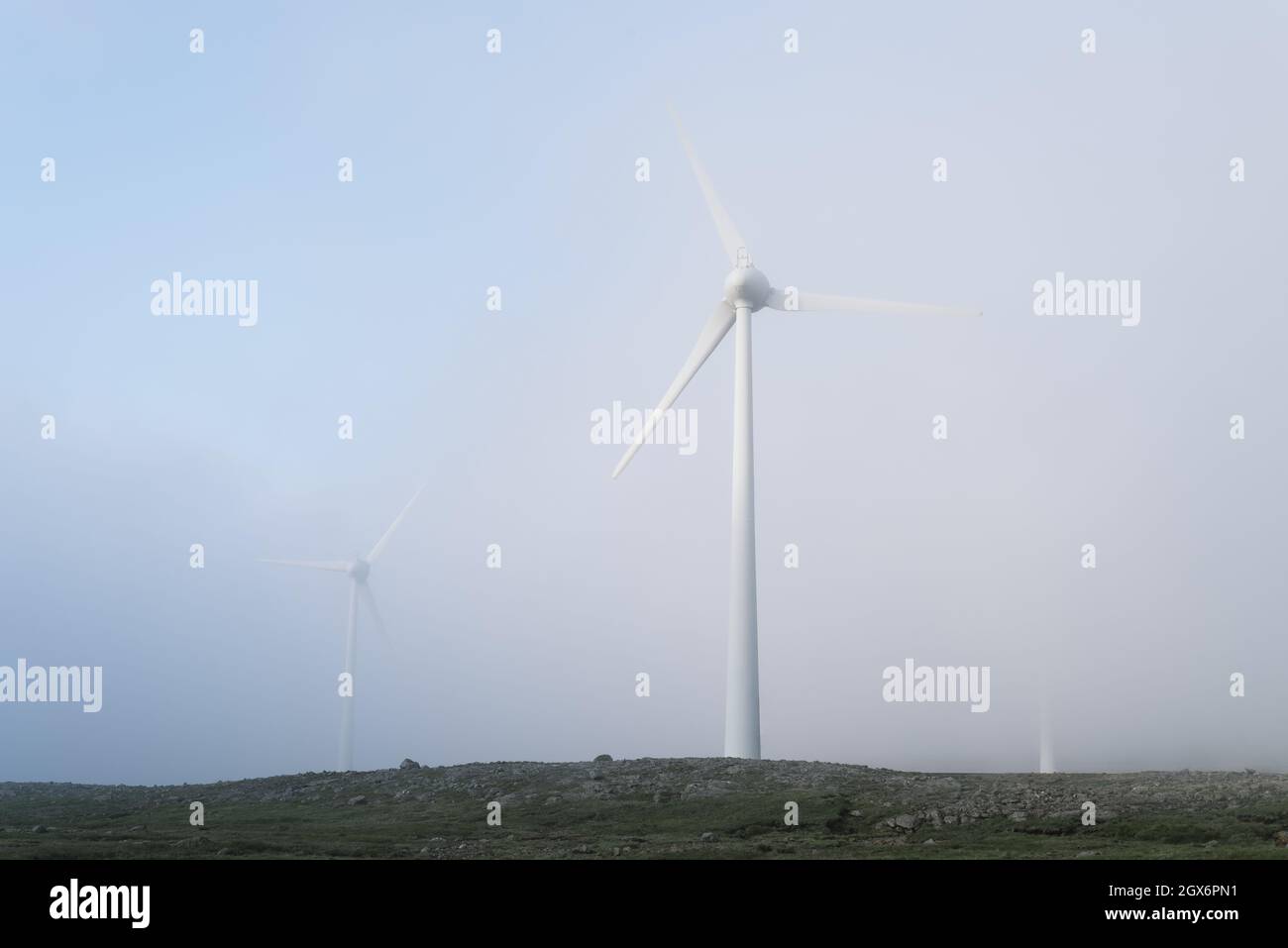 Windparks im Nebel. Trübe, ungewisse Zukunft der grünen Energie Stockfoto
