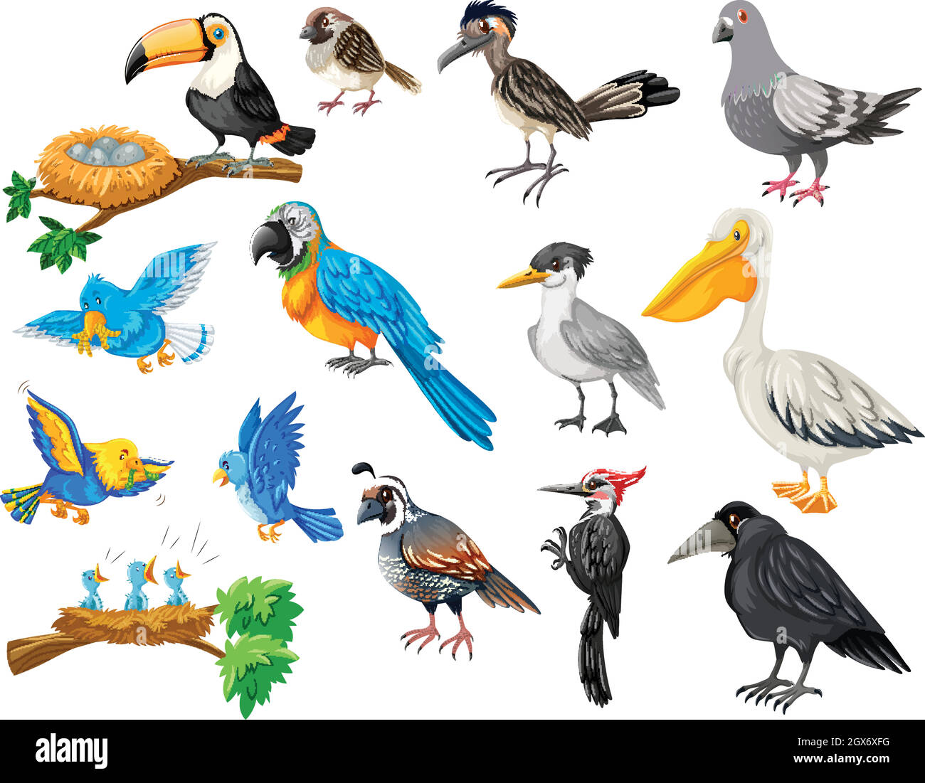 Verschiedene Arten von Vögeln eingestellt Stock Vektor