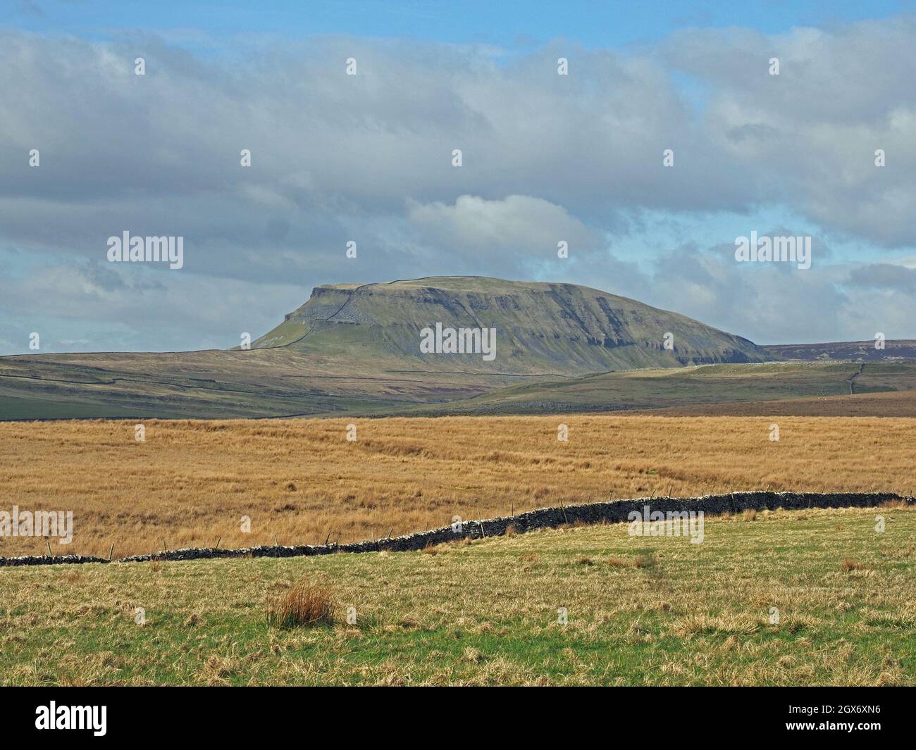 Steinmauern erstrecken sich über die umliegenden Moore und über den Gipfel von Pen-y-Gent, einem der Yorkshire 3-Gipfel - North Yorkshire, England, Großbritannien Stockfoto