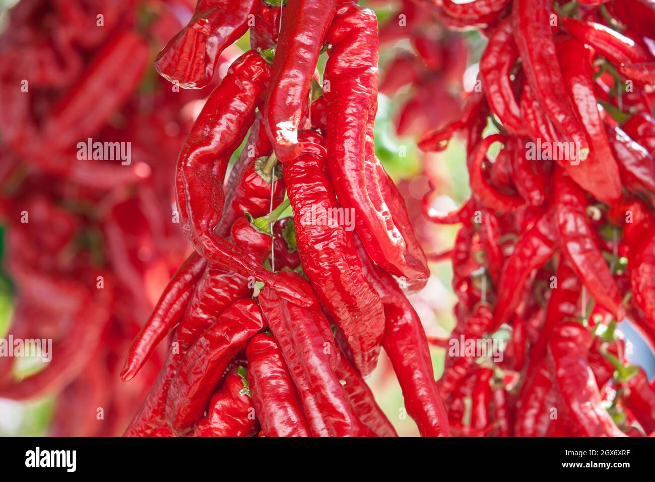 Ristra de guindas Trocknen unter der Sonne im Freien Dorfhaus. Guindas sind längliche Paprikasorten, die als Bund genäht sind und zum Trocknen auslüften. Extremadura Stockfoto