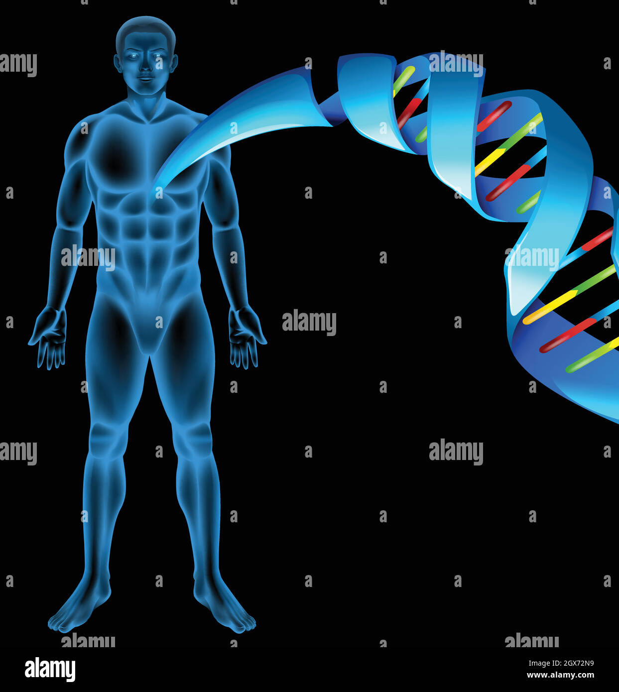 Desoxyribonukleinsäure Stock Vektor