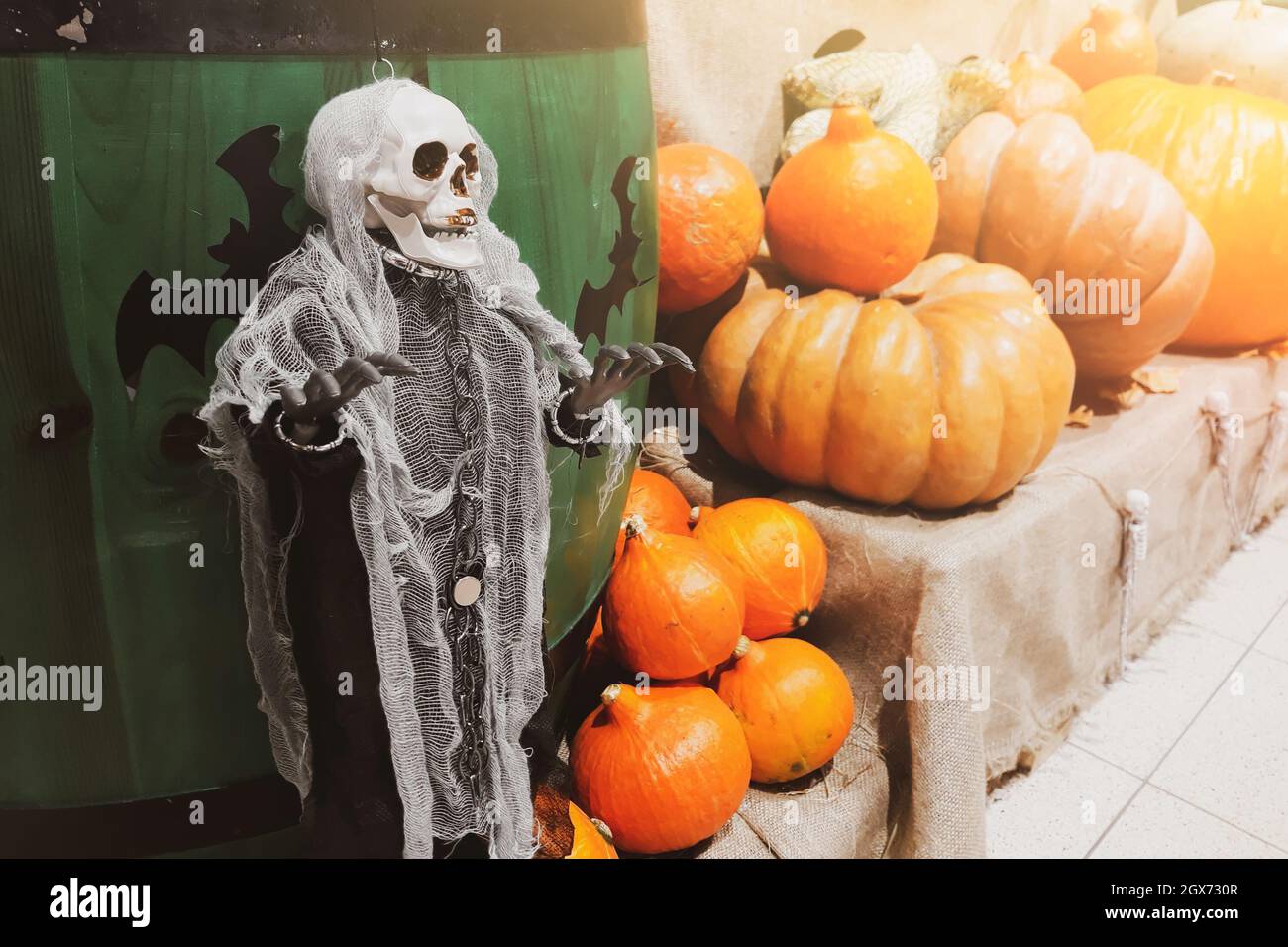 Halloween-Dekorationen. Skelett und frische Kürbisse. Bauernmarkt. Reifes Gemüse auf Regalen zum Verkauf auf dem Land. Fürchterliche Einrichtung für Feiern. T Stockfoto