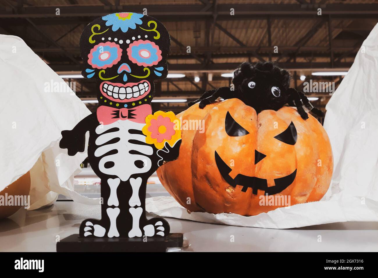 Dekorationen für Halloween und Tag der Toten in Mexiko. Skelett und frische Kürbisse. Furchterregende Einrichtung zur Feier von Dia Los Muertos. Thanksgiving und Harve Stockfoto