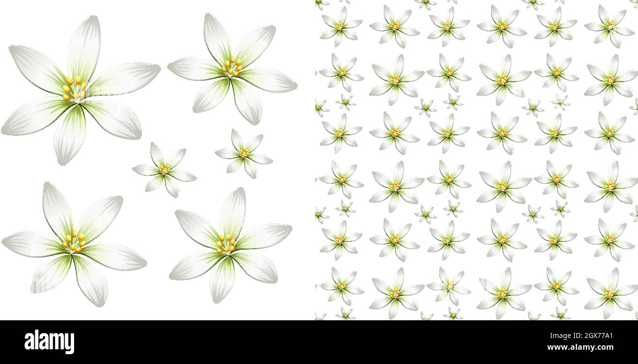 Nahtloses Hintergrunddesign mit weißer Blume Stock Vektor