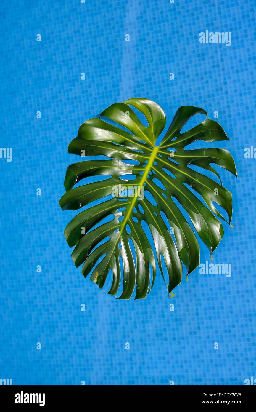 Pool blau grün -Fotos und -Bildmaterial in hoher Auflösung – Alamy