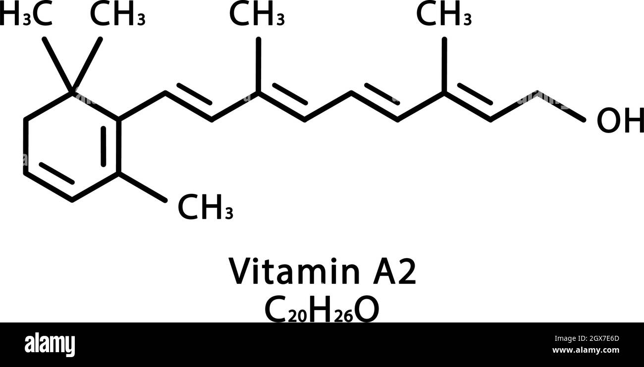 Molekulare Struktur von Vitamin A2 Dehydroretinol. Vitamin A2  Dehydroretinol skeletale chemische Formel. Chemische Molekülformeln  Stock-Vektorgrafik - Alamy