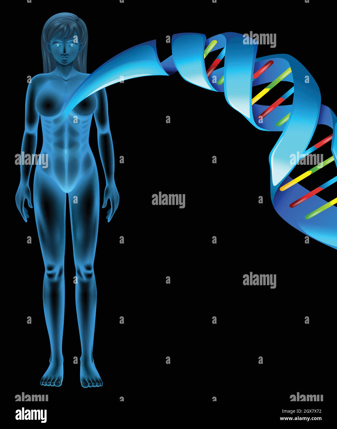 Desoxyribonukleinsäure Stock Vektor