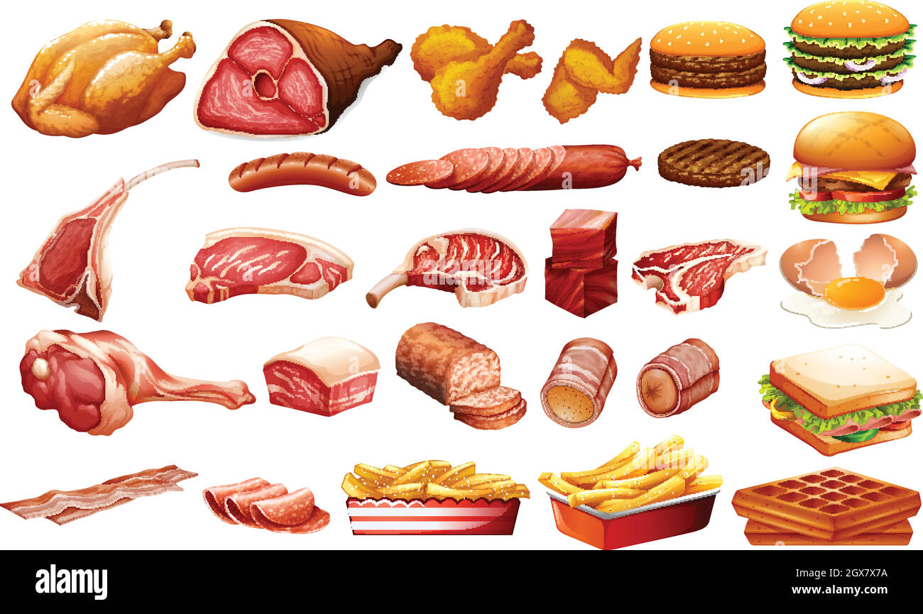 Verschiedene Arten von Fleisch und Lebensmitteln Stock Vektor