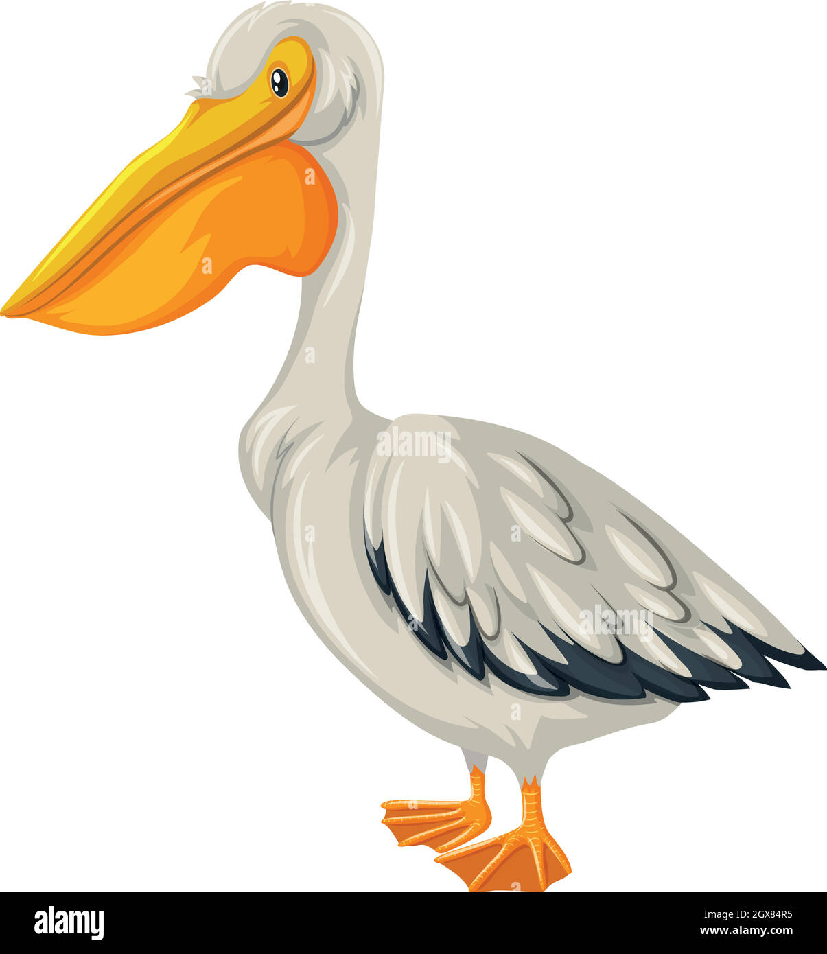 Pelikanvögel mit weißer Feder Stock Vektor