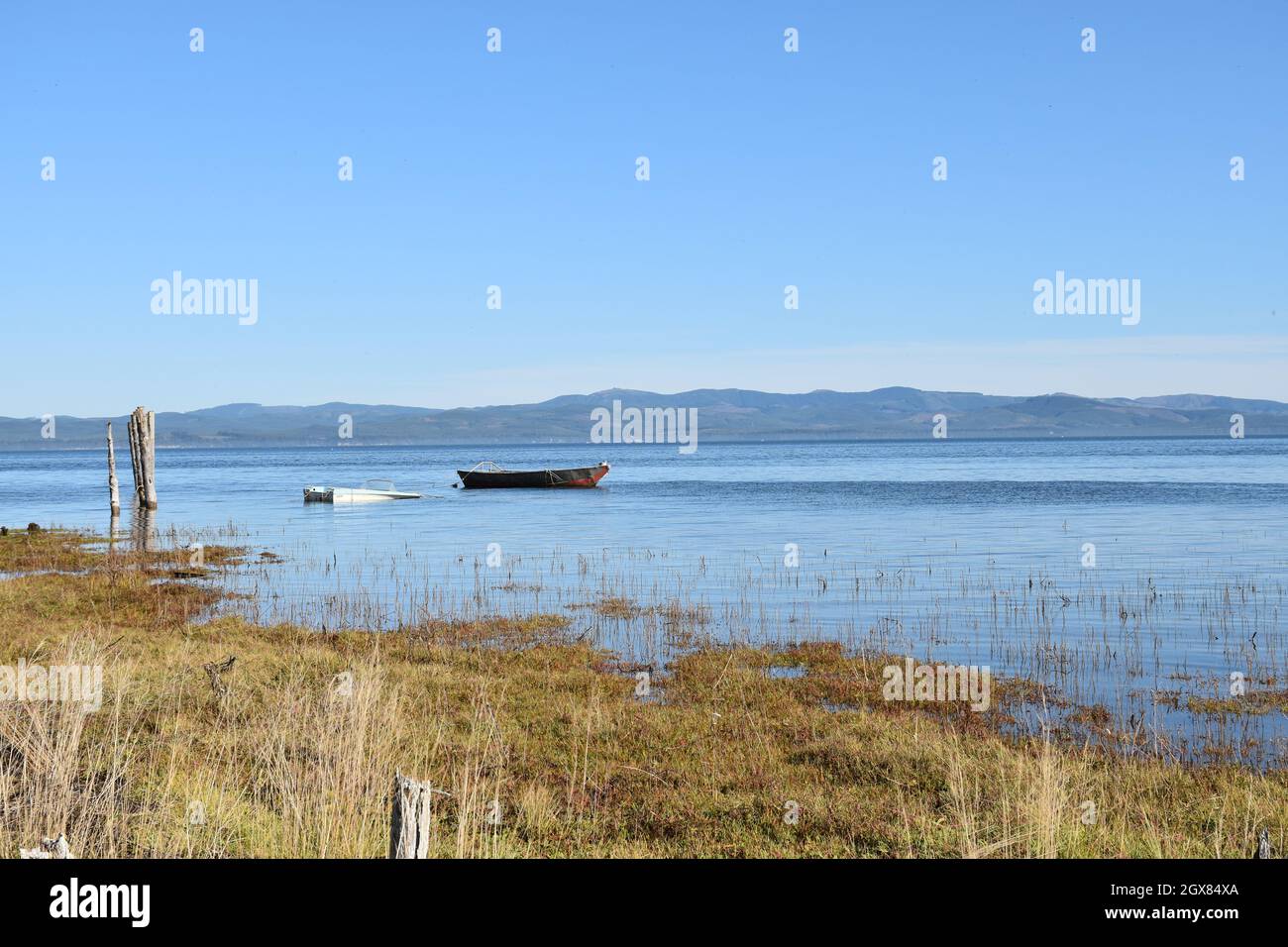 Blick auf Willapa Bay von Oysterville, Long Beach Peninsula, Pacific County, Washington State, USA. Stockfoto