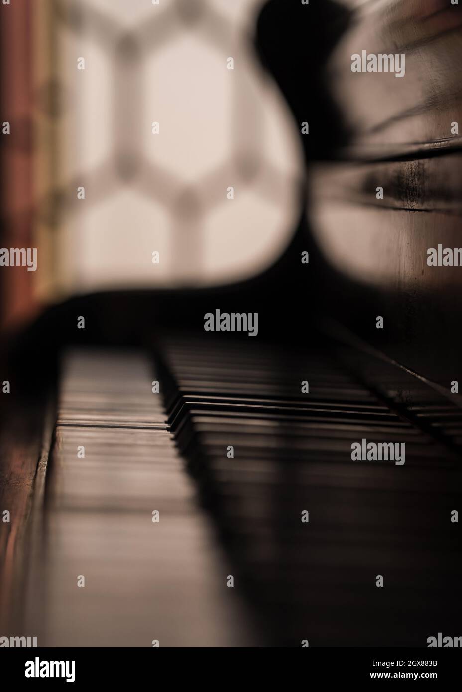 Selektiver Fokus auf einzelne Klaviertaste. Isolierte Taste in dunkel stimmungsvollen Licht Musikinstrument. Tastatur, die die Umgebung reflektiert. Stockfoto