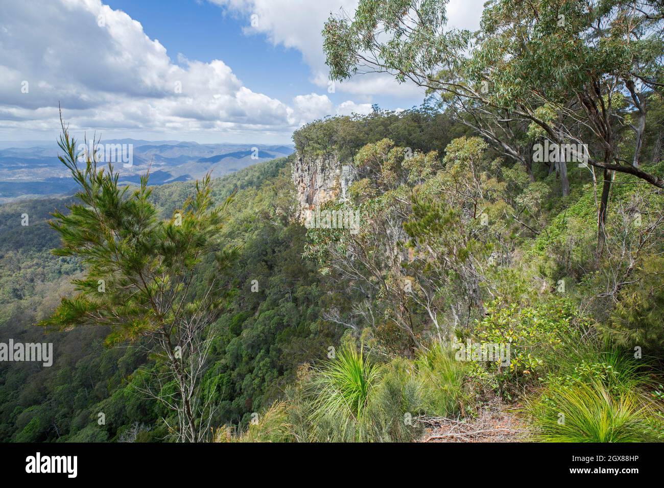 Spektakuläre Aussicht auf bewaldete Landschaft und Klippen vom Aussichtspunkt im Kroombit Tops National Park in Great Dividing Range Australia Stockfoto