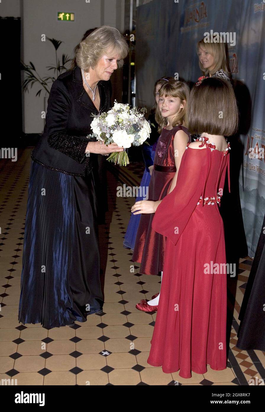 Camilla, Herzogin von Cornwall, kommt zur Weltpremiere der Chroniken von Narnia in der Royal Albert Hall in London, England. Die neue Großleinwand-Adaption von C S Lewis' The Lion, The Witch and the Wardrobe wird zugunsten des Wohlwollenden Fonds für Kino und Fernsehen durchgeführt. Anwar Hussein/allactiondigital.com *** Ortsüberschrift *** Camilla, Herzogin von Cornwall;Prinz Charles, Prinz von Wales Stockfoto