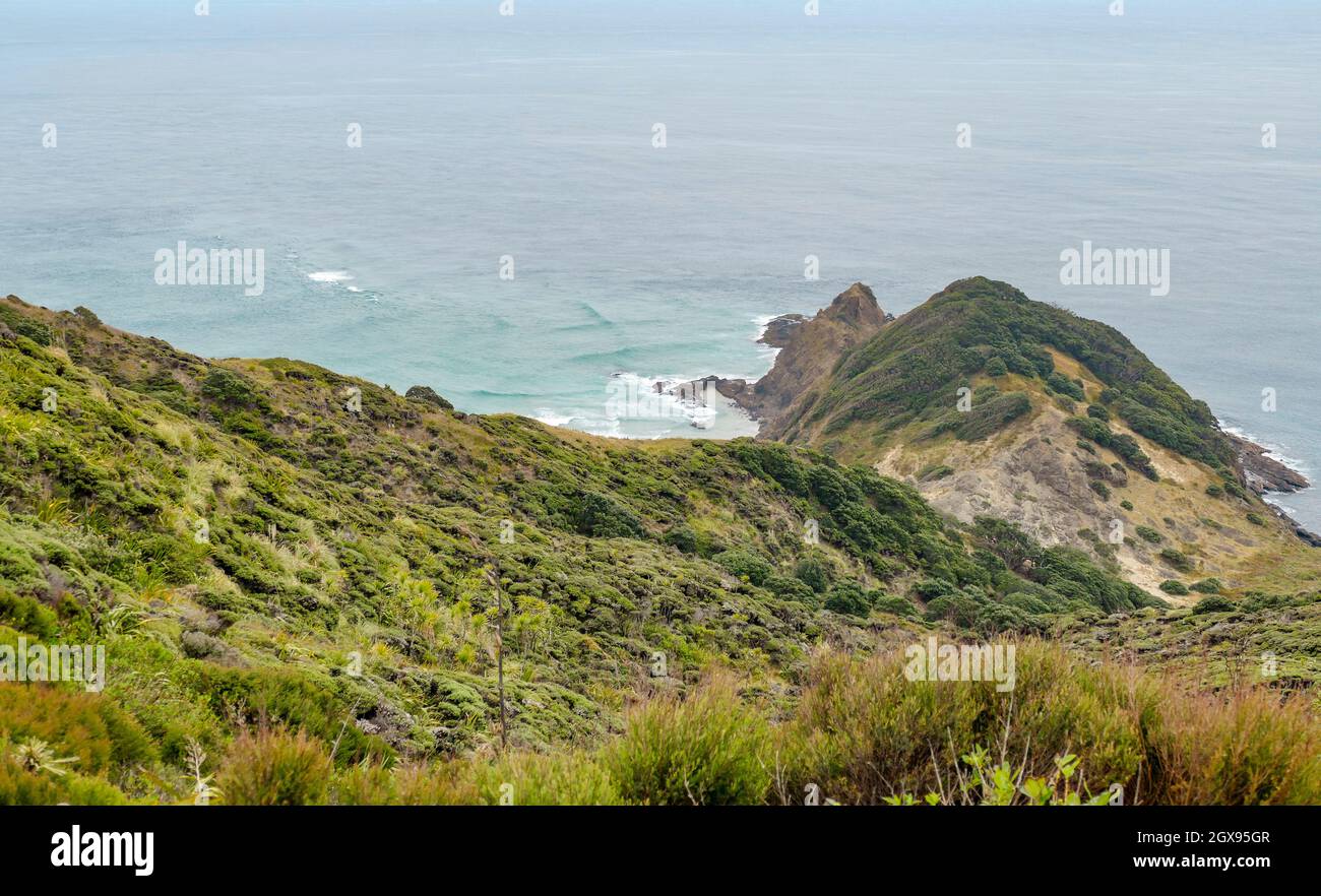 Küstenlandschaft rund um Cape Reinga auf der Nordinsel in Neuseeland Stockfoto