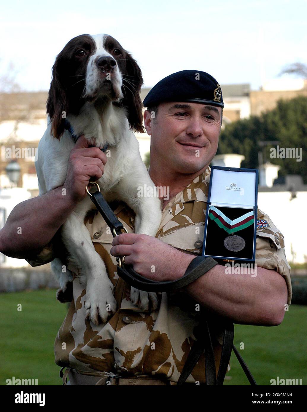 Buster ein fünfohriger springer-Spaniel mit seinem Handler Sergeant Danny Morgan und Kate Adie im Imperial war Museum. Buster gilt als verantwortlich für die Rettung unzähliger Menschenleben, als er in Gebäuden, die als Hauptquartier von Extremisten für Angriffe auf britische Streitkräfte während des jüngsten Konflikts im Irak gedacht sind, einen versteckten Zwischenspeicher mit Waffen, Sprengstoffen und Bombenanschlägen auffand. Stockfoto