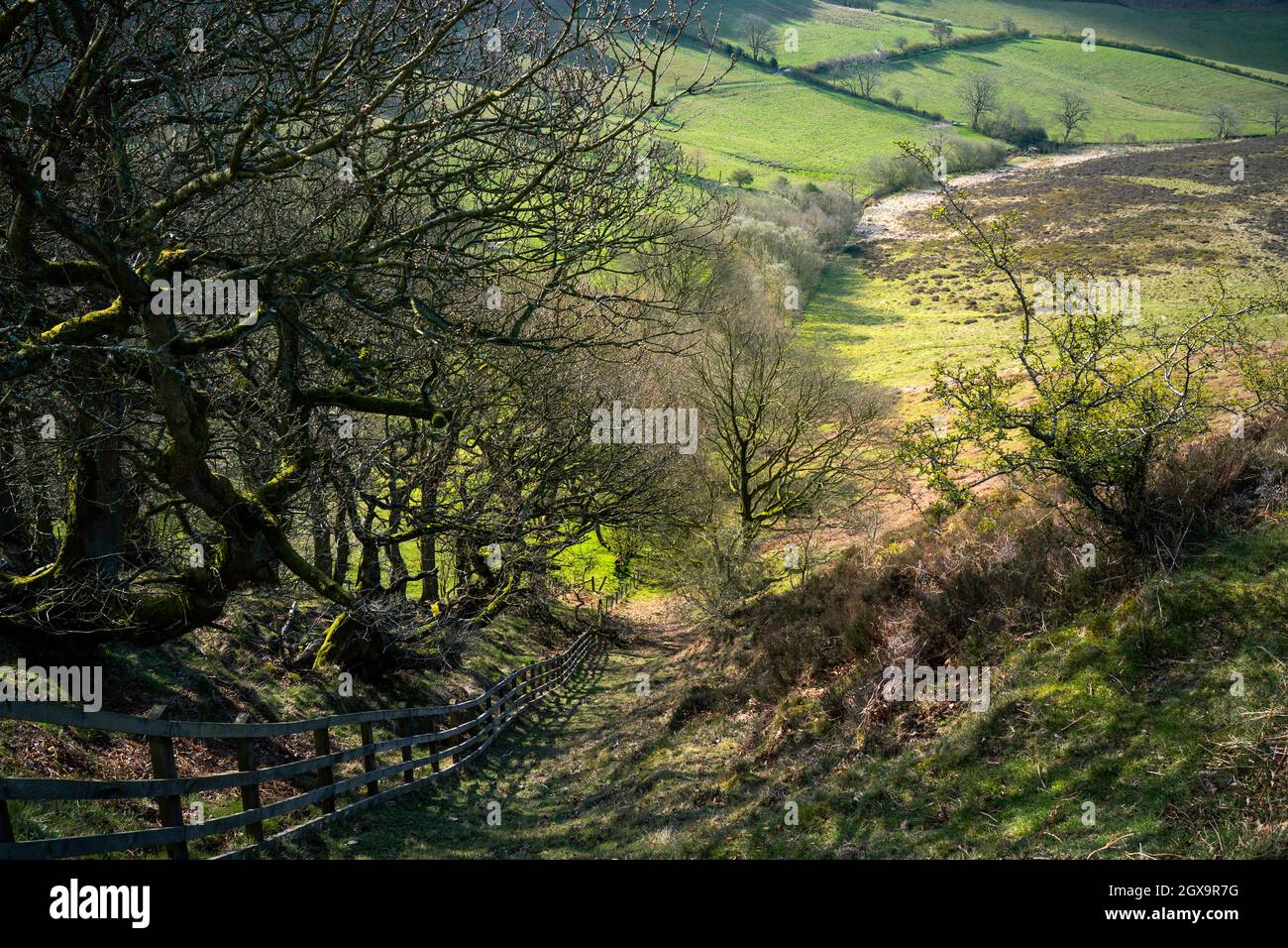 North York Mauren mit Feldern, Grünland und Wäldern im Frühjahr von einem hügeligen Hang im Frühjahr in Hole of Horcum in der Nähe von Goathland, Yorkshire, Großbritannien. Stockfoto