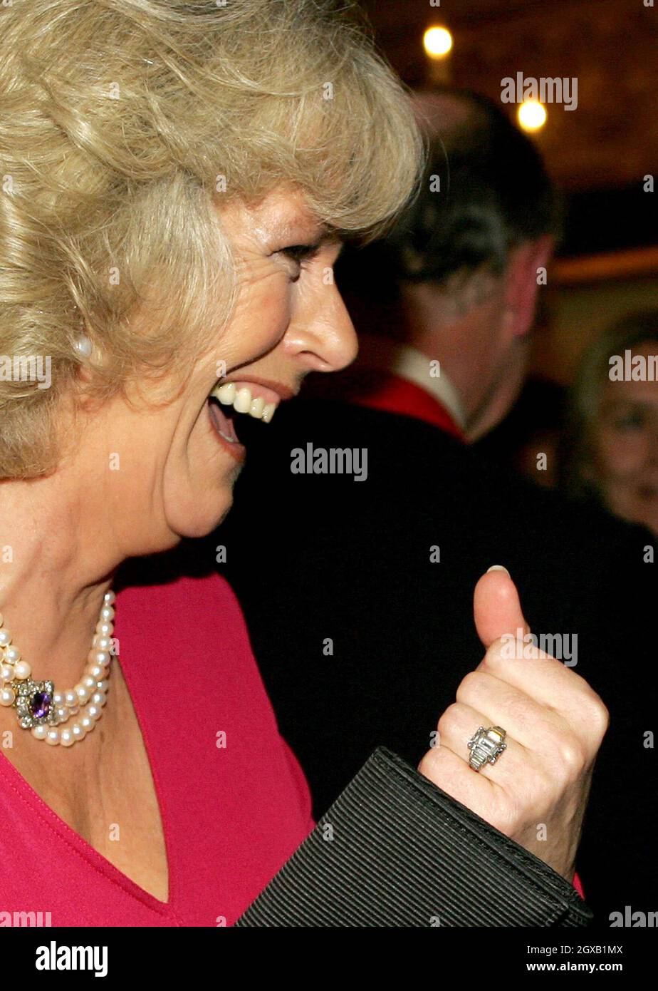 Prinz Charles und Camilla Parker Bowles kommen zu einer Party im Schloss Windsor, nachdem sie ihre Verlobung Anfang des 10. Februar 2005 angekündigt hatten. Der britische Prinz Charles und seine langjährige Gefährtin Camilla Parker Bowles sollen heiraten, kündigte sein Büro am Donnerstag an und besiegelt damit eine Beziehung, die vor 35 Jahren zum ersten Mal aufblühte. Stockfoto