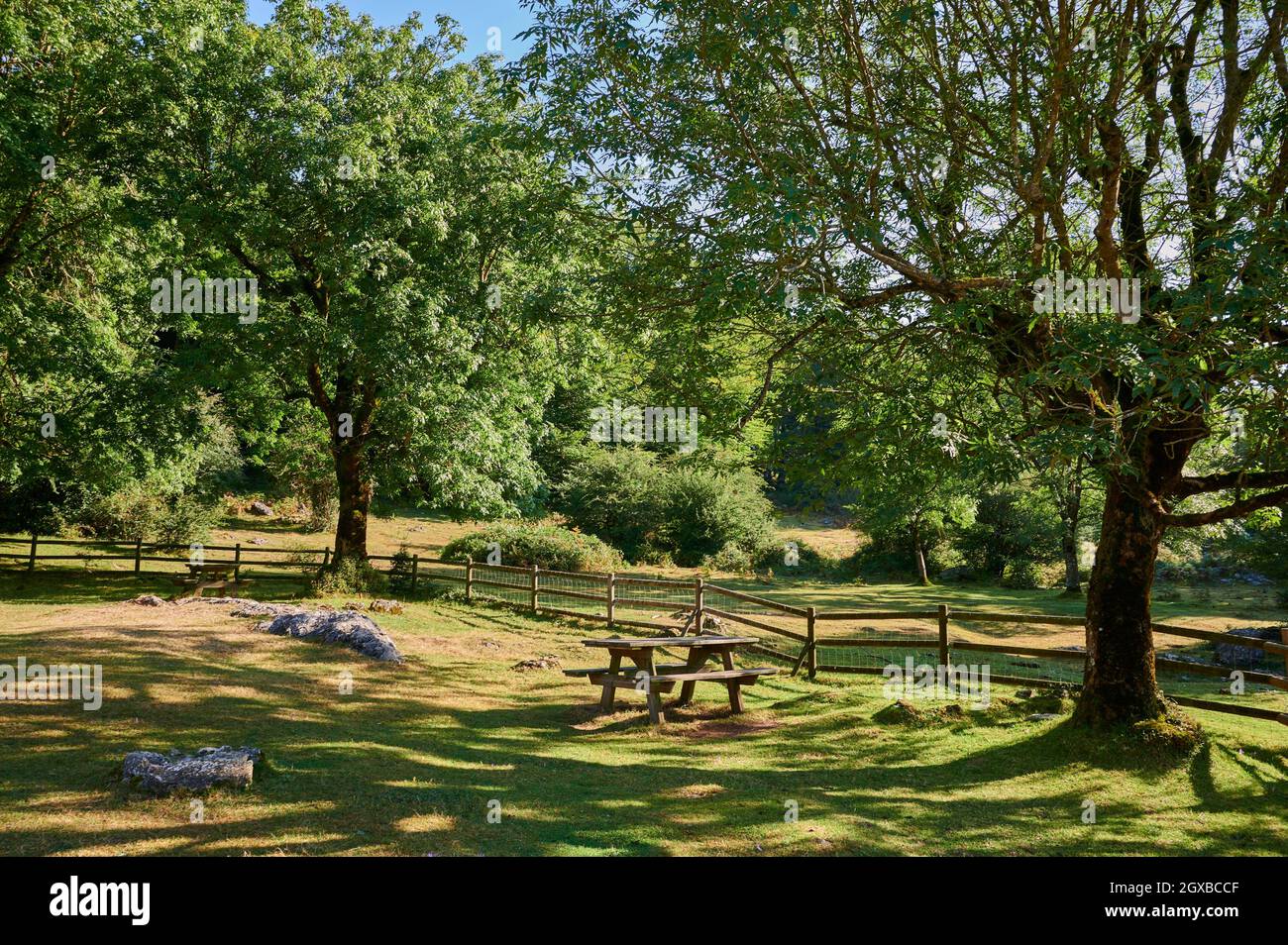 Rastplatz mit hölzernen Picknickbänken zwischen Bäumen, Sierra de Urbasa, Navarra, Spanien, Europa. Stockfoto