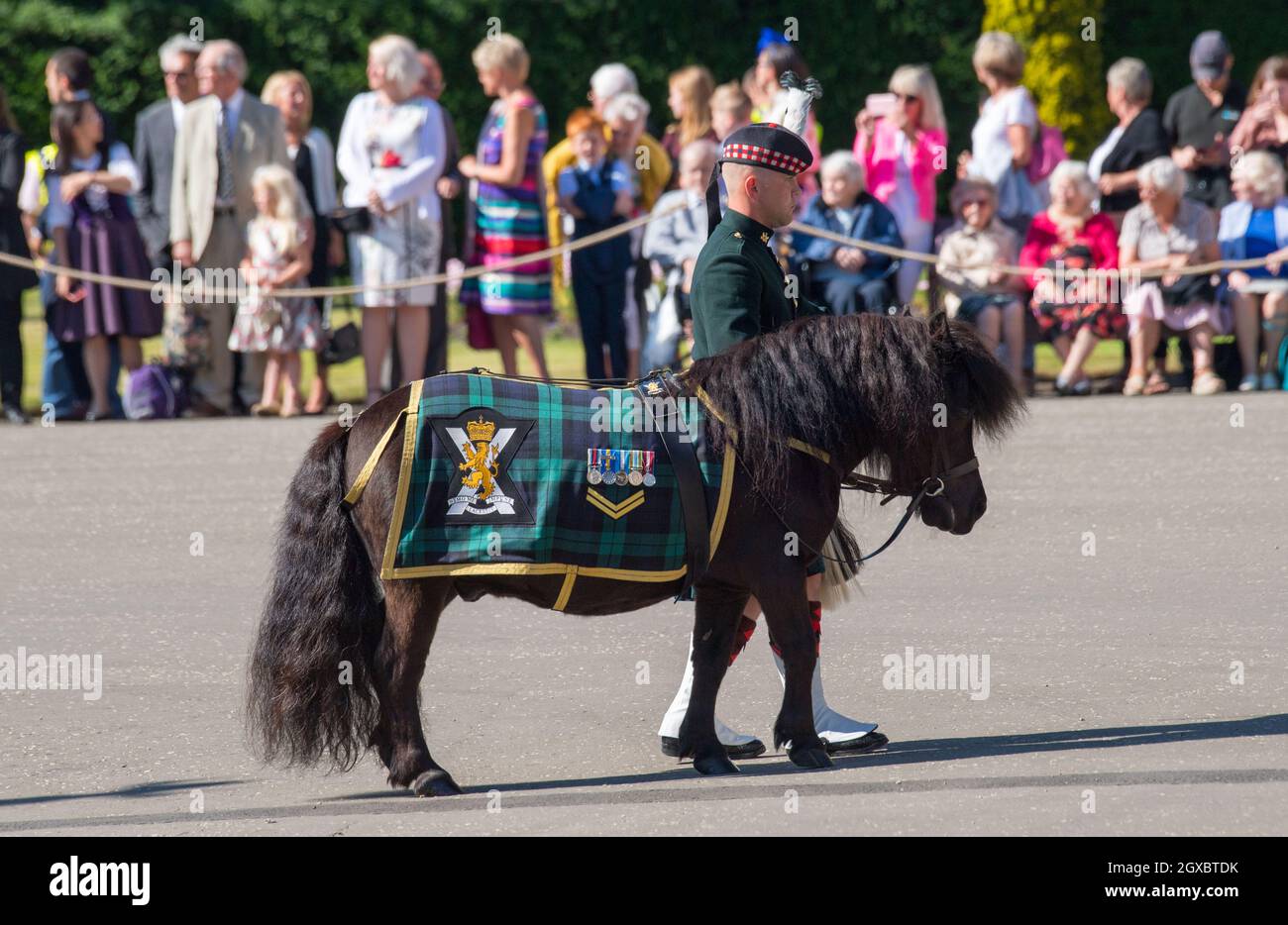 Balaklava Company, The Argyll and Sunderland Highlanders, 5. Bataillon das Royal Regiment of Scotland und ihr offizielles Maskottchen, ein Shetland-Pony namens Cruachan, nehmen am 2. Juli 2018 an der Zeremonie der Schlüssel im Holyroodhouse Teil. Wo der Königin symbolisch die Schlüssel zur Stadt Edinburgh vom Lord Provost angeboten werden. Stockfoto