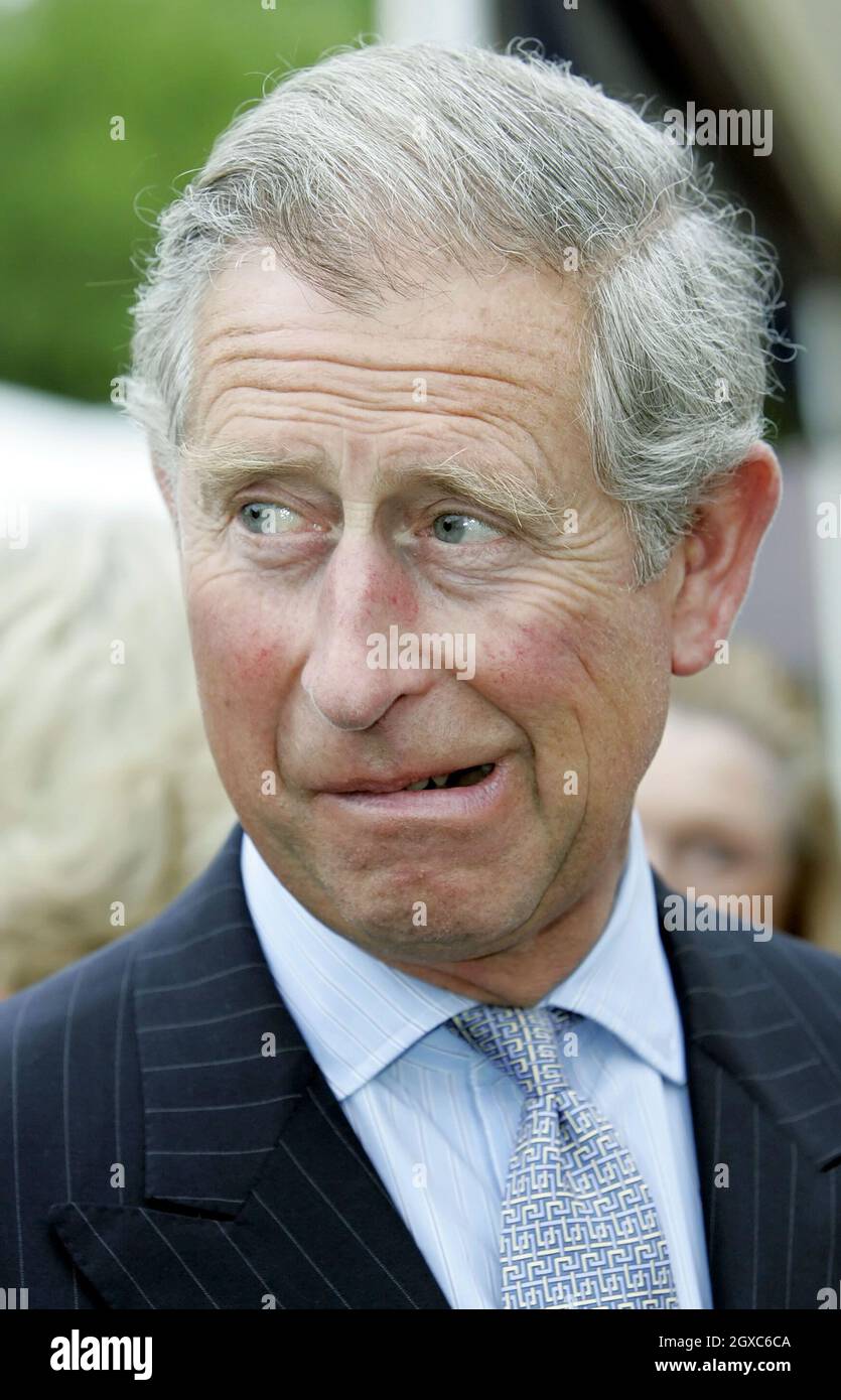 Prinz Charles, Prinz von Wales auf der RHS Chelsea Flower Show in London am 21. Mai 2007. Stockfoto