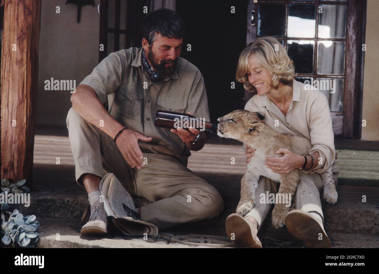 Bill Travers und Virginia McKenna füttern einen jungen Löwen am Set des Films „Born Free“, der auf dem Buch von Joy Adamson über ihre Rettung der Löwin Elsa in Ostafrika am 01. Januar 1966 in Kenia basiert. Stockfoto