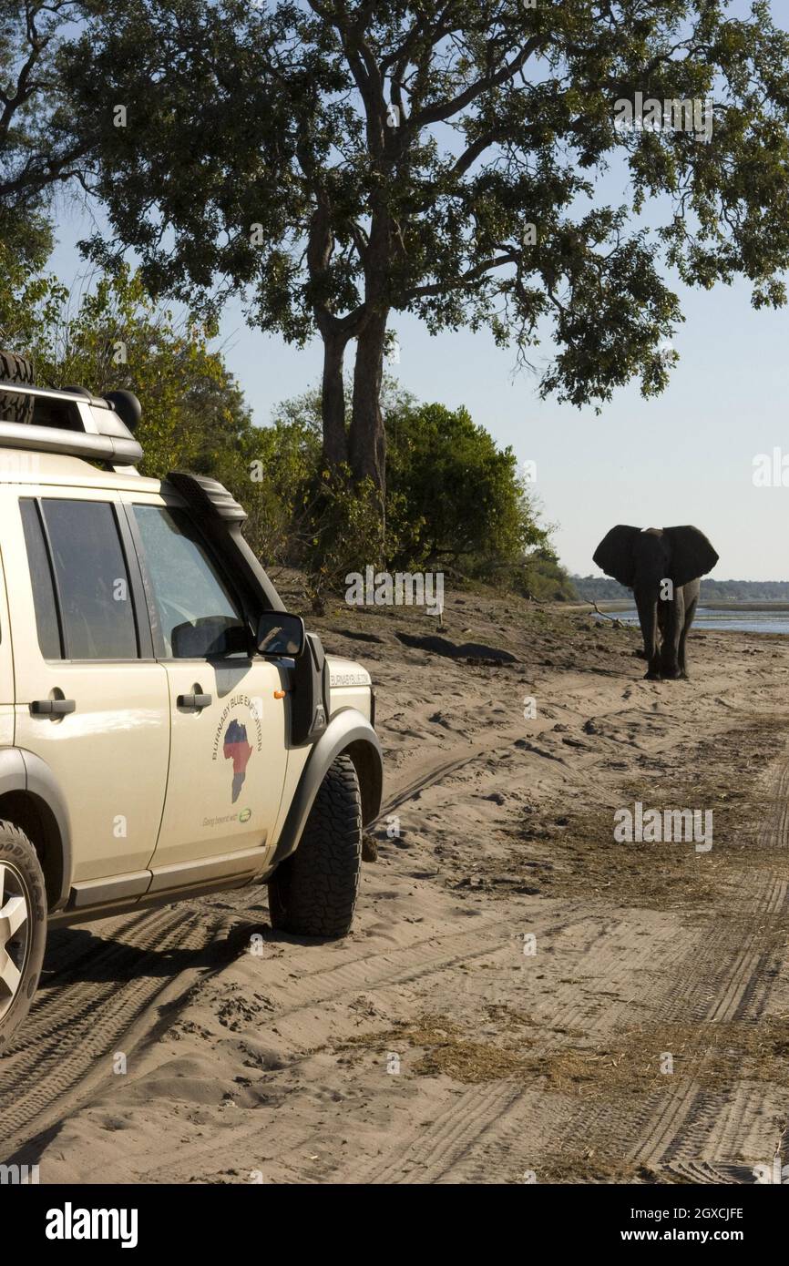 Handout-Foto vom 22/06/08 von der Burnaby Blue Expedition (einschließlich Prinz Harry) auf der Reise durch den Chobe National Park, Botswana, Südafrika. Die jungen königlichen und mehr als 25 Kollegen haben 4x4-Fahrzeuge verwendet, um zu reisen, zu schlafen, zu kochen und sogar zu waschen, als sie sich auf dem Weg durch die Basis des Kontinents machten. Ed Lane Fox/Anwar Hussein Collection/PA-Fotos Stockfoto